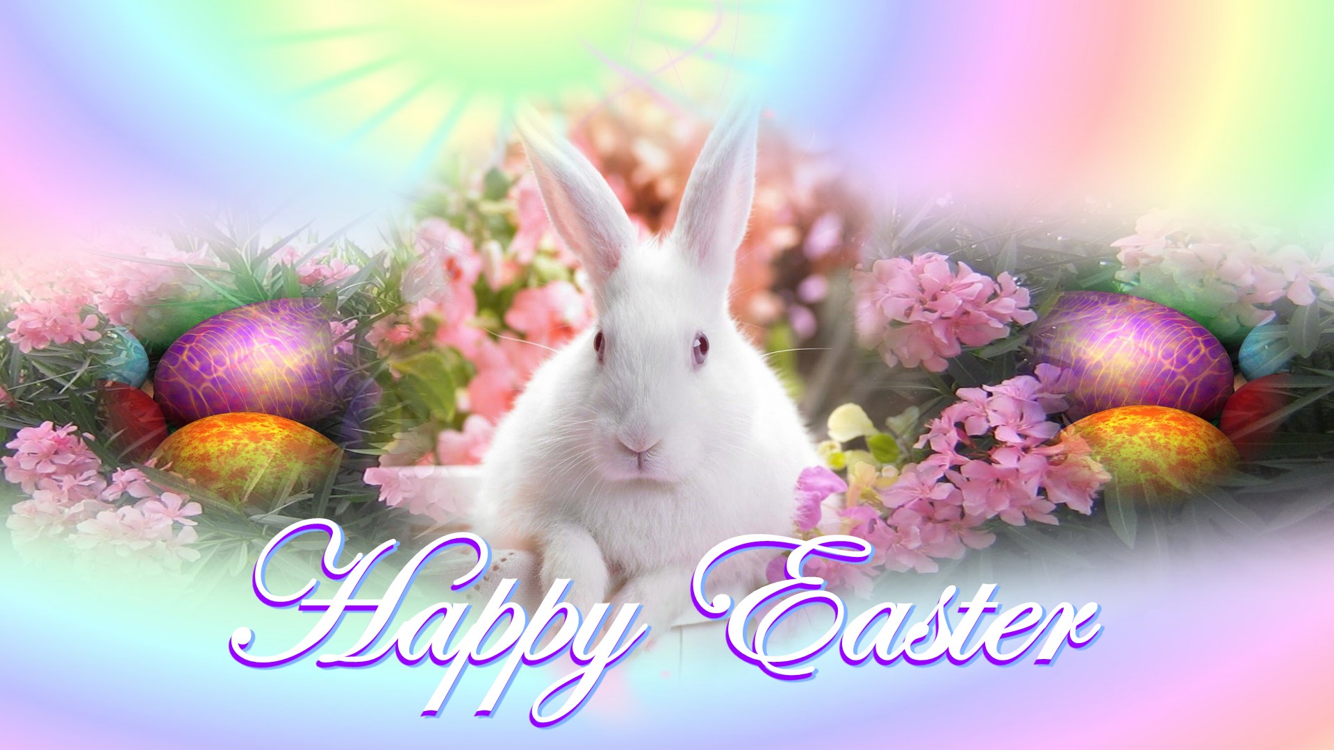 Dumny Królik Happy Easter